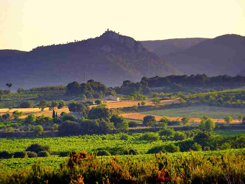 Activités dans le Penesdes