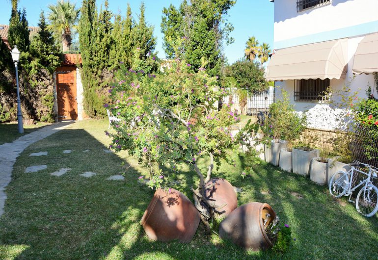 arbres de la villas